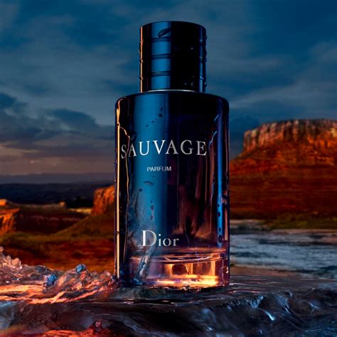 Sauvage: the world of the iconic Dior fragrance for men 